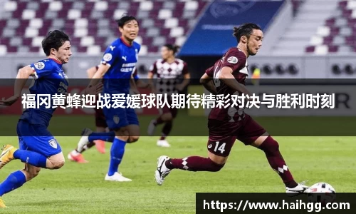 福冈黄蜂迎战爱媛球队期待精彩对决与胜利时刻