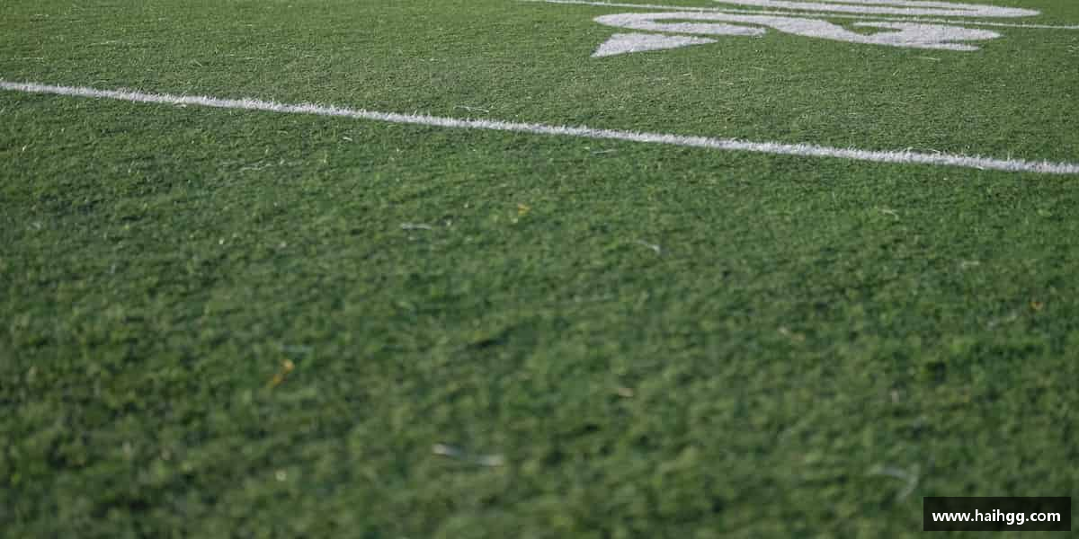 熊猫体育中国官网为了目标，拼尽全力。